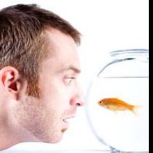 Know Theatre of Cincinnati Presents BOOM, Continues This Weekend